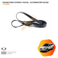 Ssangyong Kyron Kanallı V Kayışı